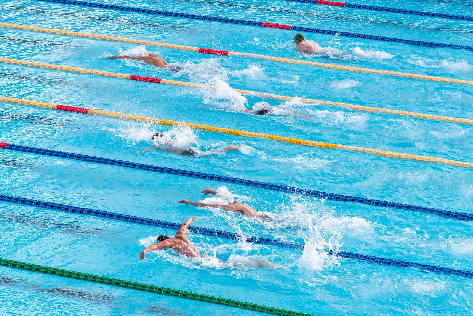 swimming-race-brisbane